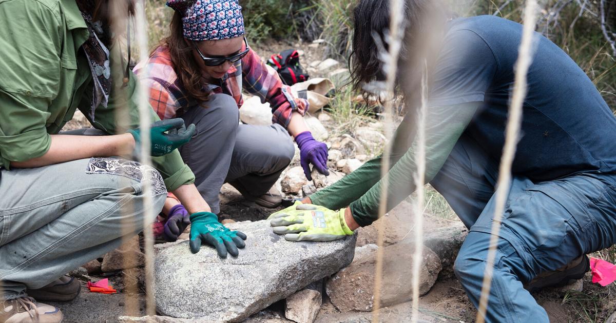 On Mount Lemmon, volunteers give unemployed rocks a new job: Erosion control Volunteers with the Sky Island Alliance are building erosion control structures on Mount Lemmon in Arizona By STEPHANIE CASANOVA/Arizona Luminaria - Arizona Luminaria Aug 21, 2026 8 mins ago