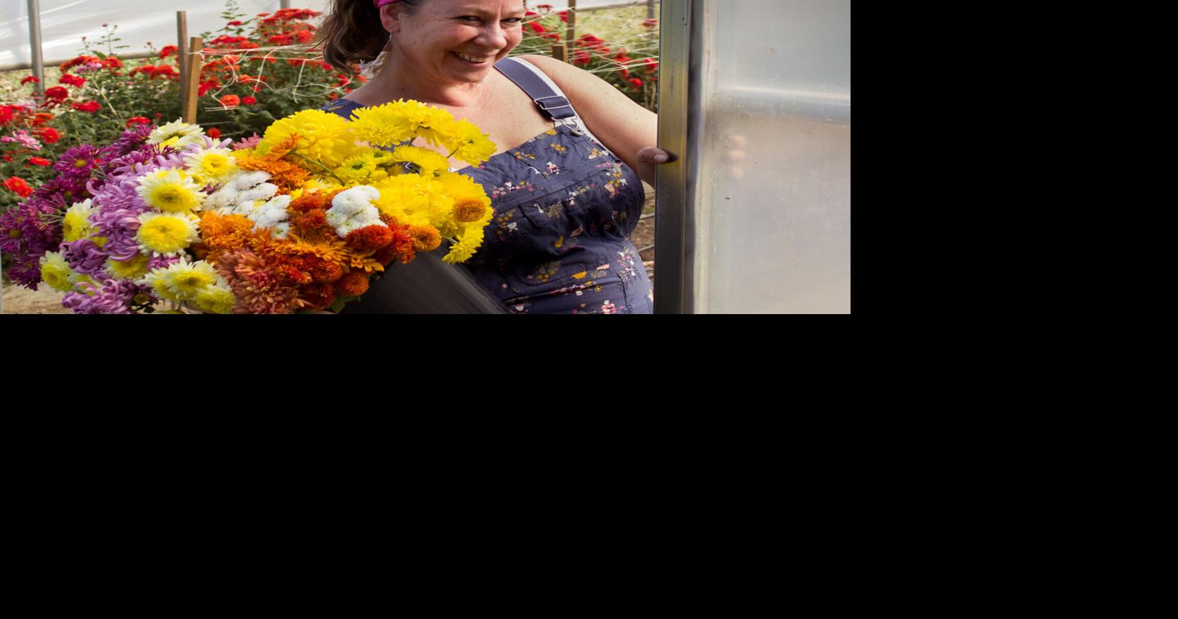 Mum’s the word: Weyers Cave flower farm to educate gardeners through online summit