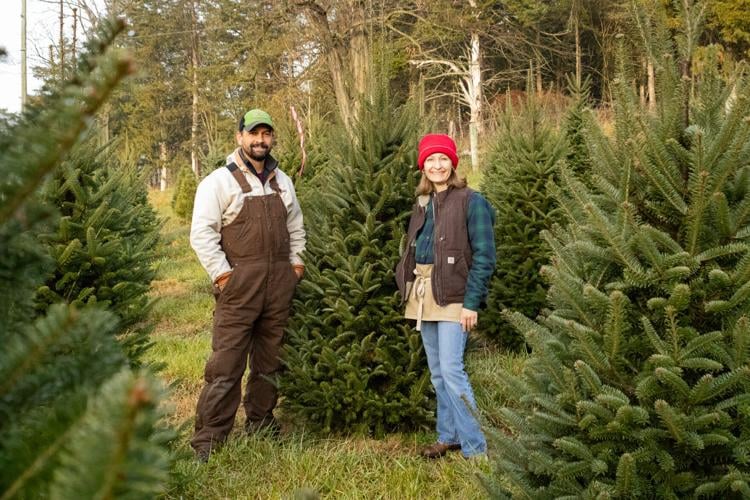 Mount Solon Family Grows Christmas Trees For A Cause | News | dnronline.com