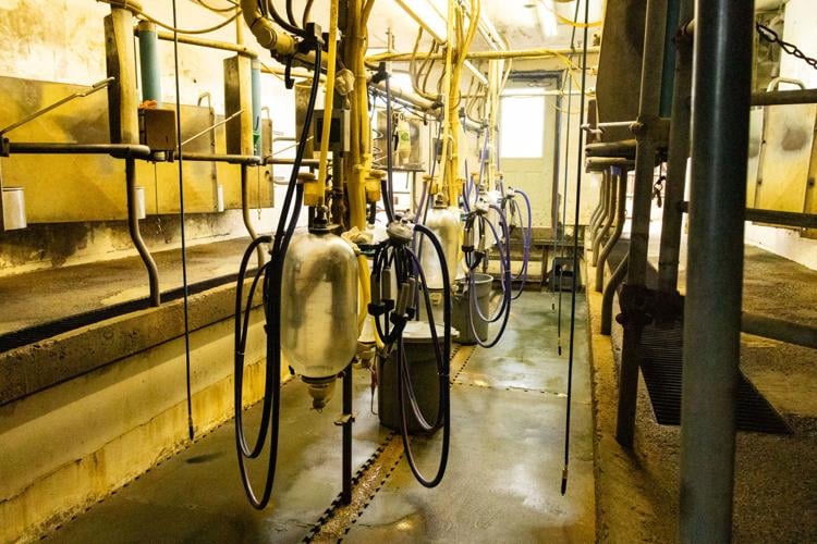 Mt. Crawford Creamery Reflects On 10 Years Of "Pulling" For The