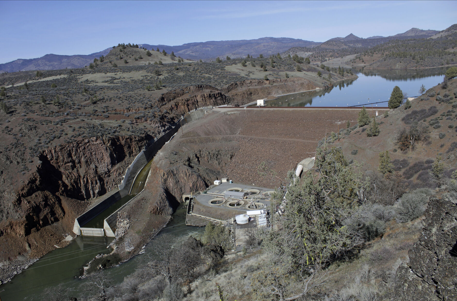 Salmon Return To Lay Eggs In Historic Habitat After Largest Dam Removal ...