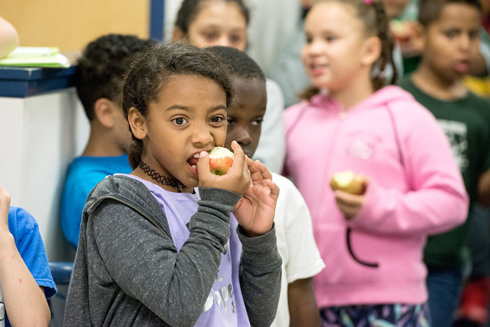 A Taste Of Agriculture | Harrisonburg | dnronline.com