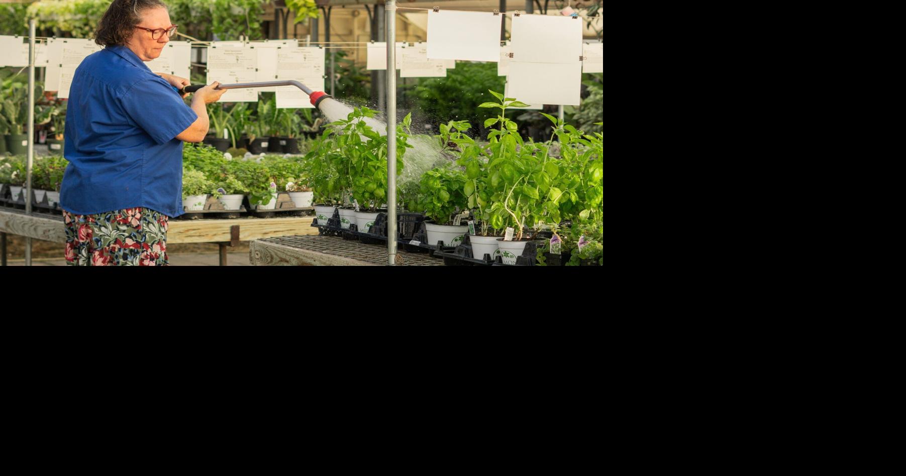 Milmont Greenhouses is growing its reputation across the Valley