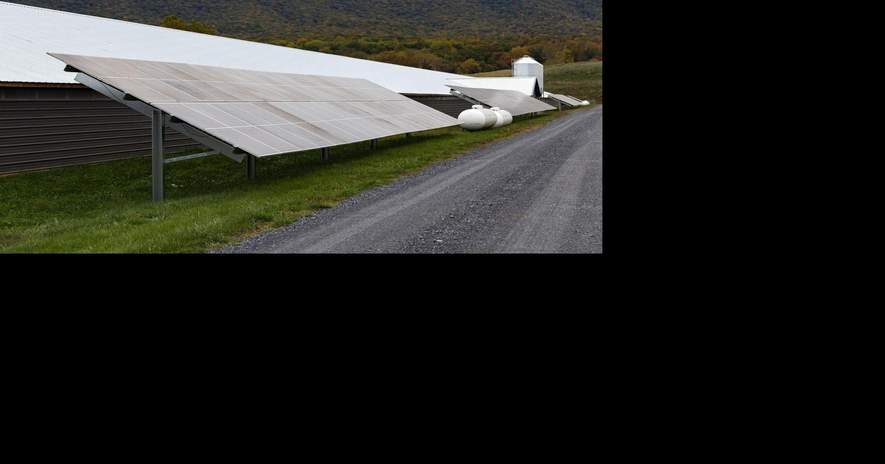 USDA Grant Awarded To Local Organic Poultry Farmer For Solar Panel ...