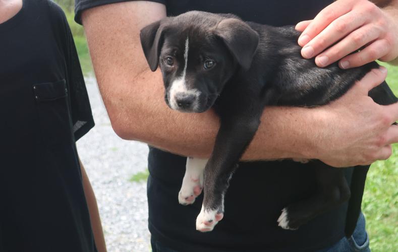 Local Music Duo Clymer & Kurtz Release New FullLength Album Recorded