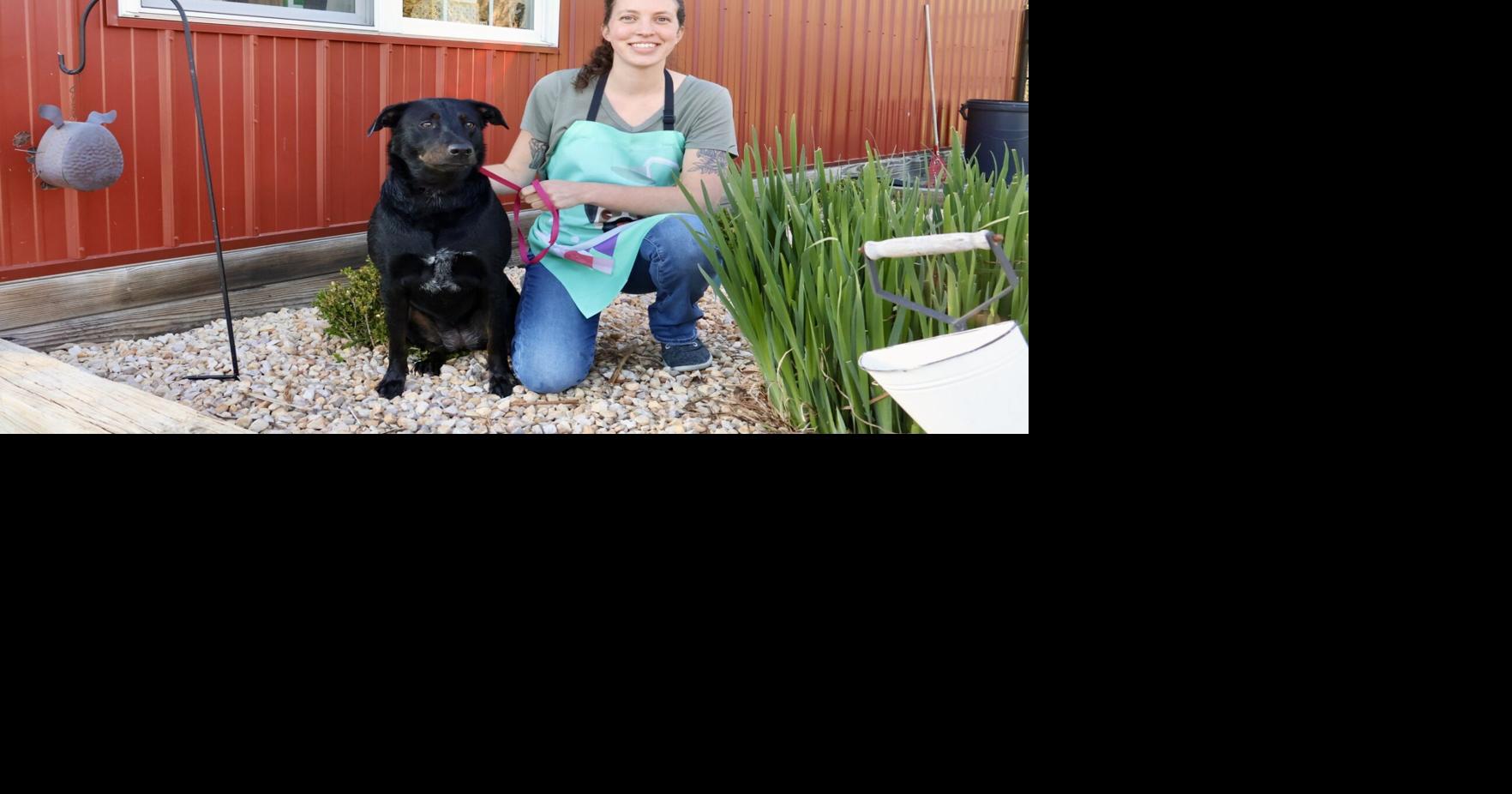 What The Fluff? Pet groomer is making a name for herself | Business & Economy