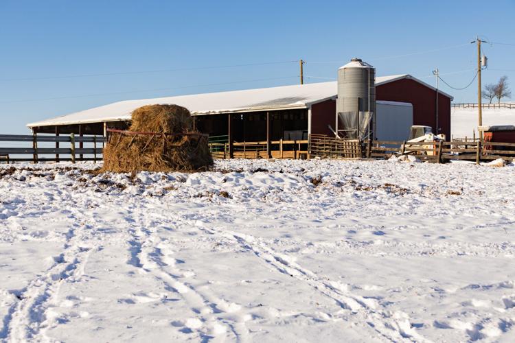 GlenDor Farm Cattlemen Don't Take Snow Days News