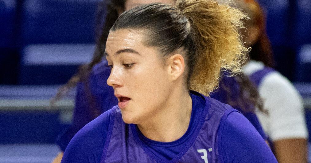 JMU freshman Molnarova enters transfer portal | James Madison University | dnronline.com