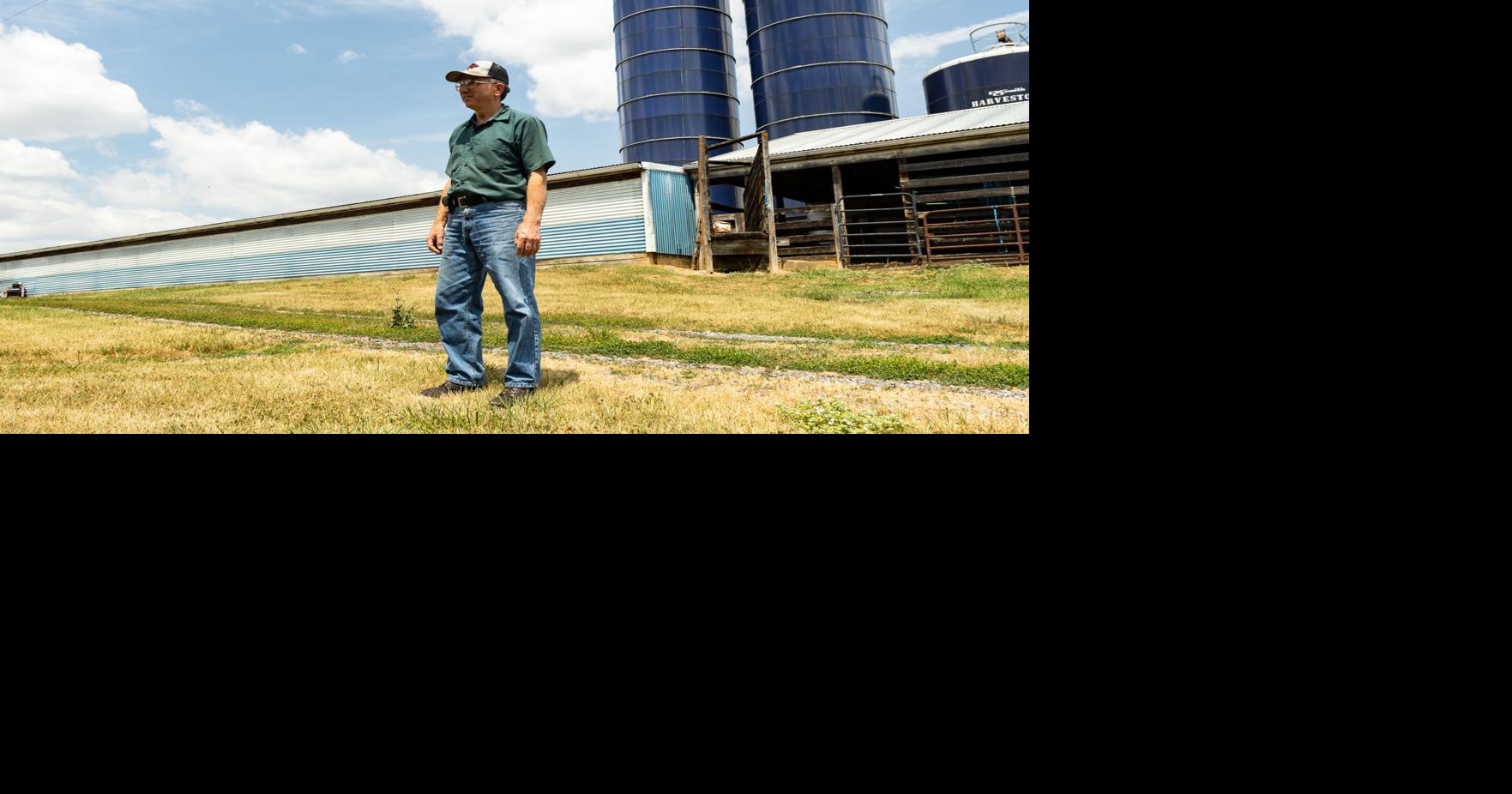 Mt. Crawford Creamery Reflects On 10 Years Of "Pulling" For The