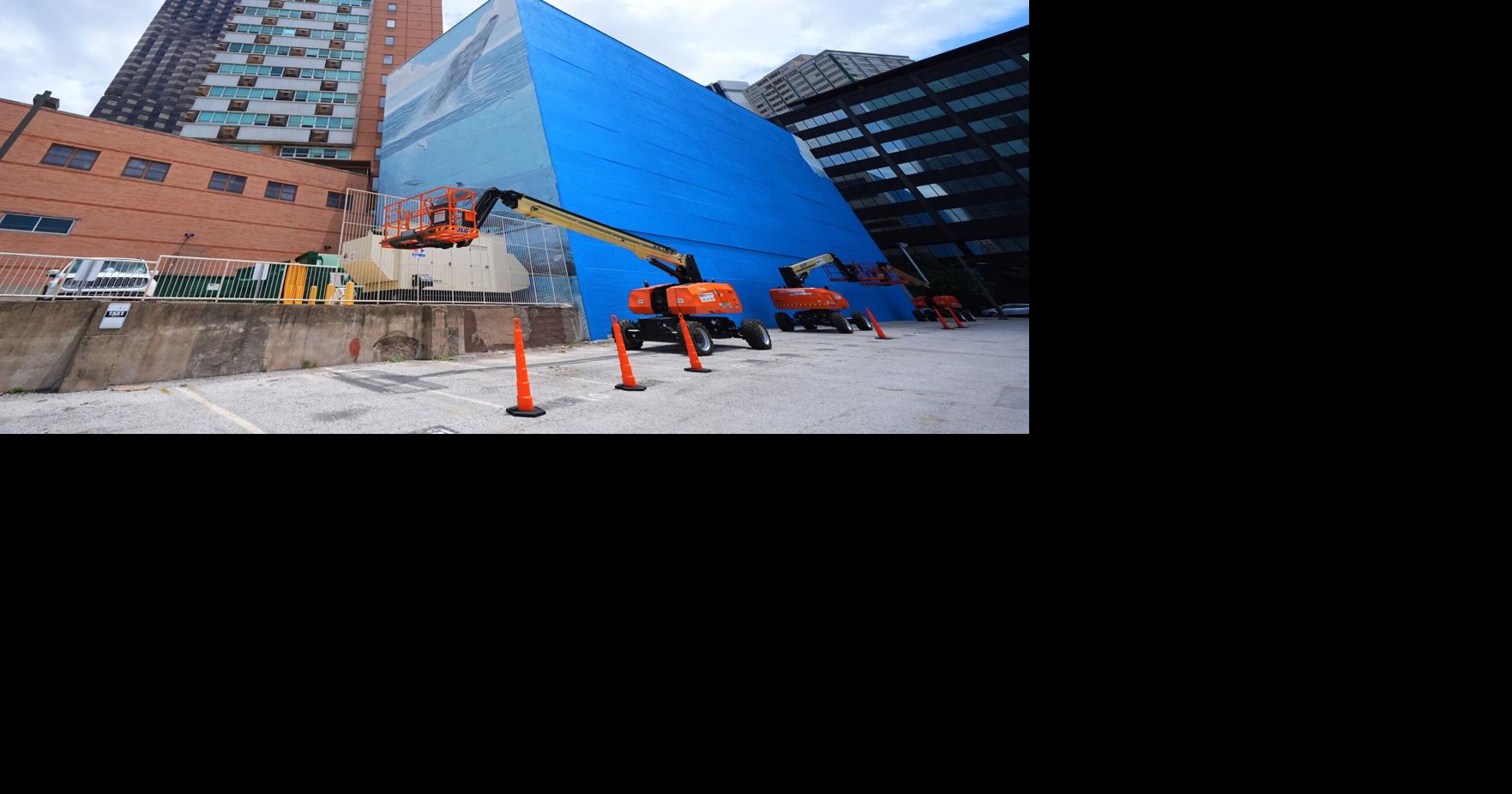 Artist suing FIFA over destruction of Dallas whale mural before World Cup