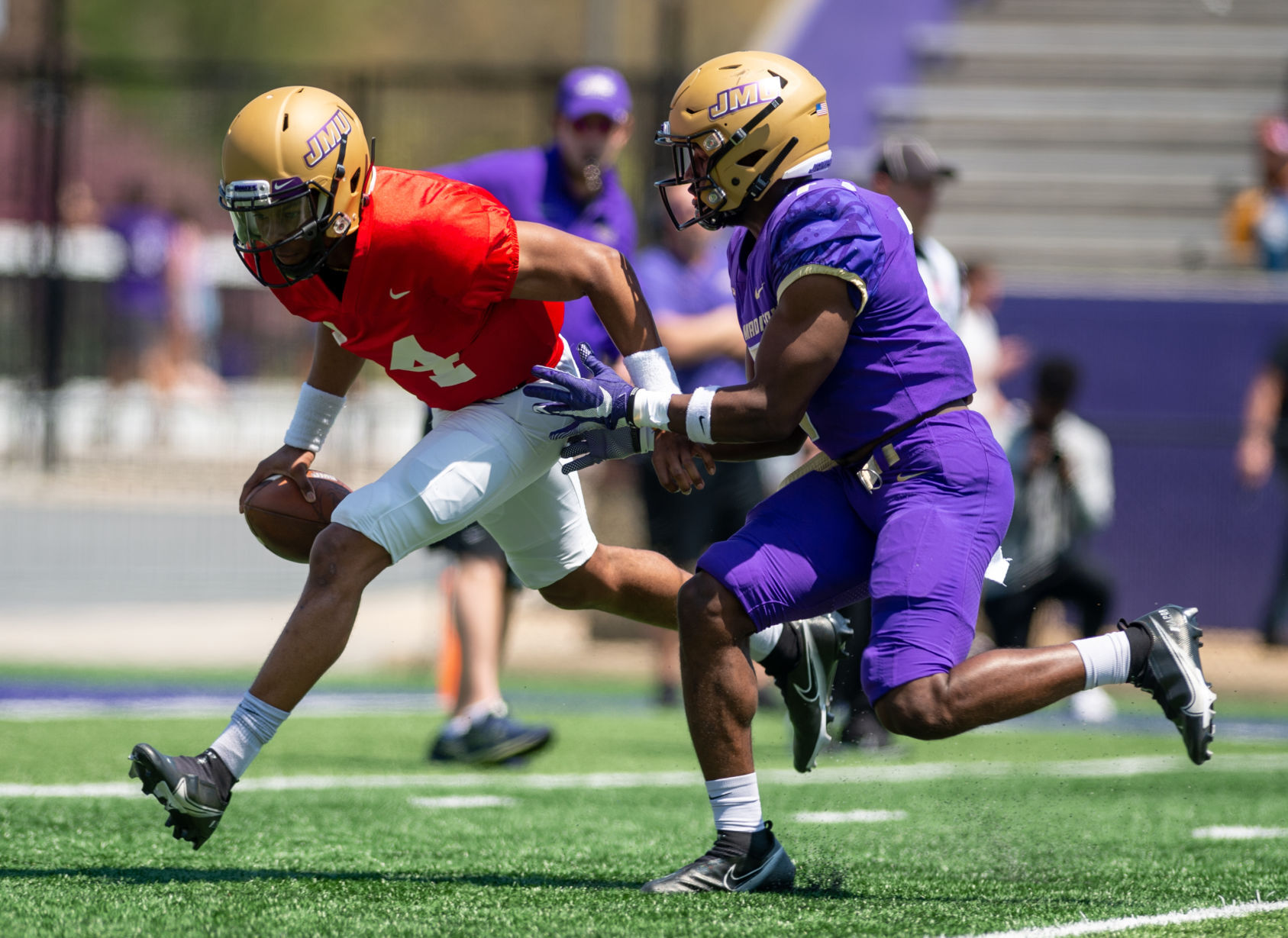 Cignetti Taking ‘Day-To-Day’ Approach With QB Competition | Local ...