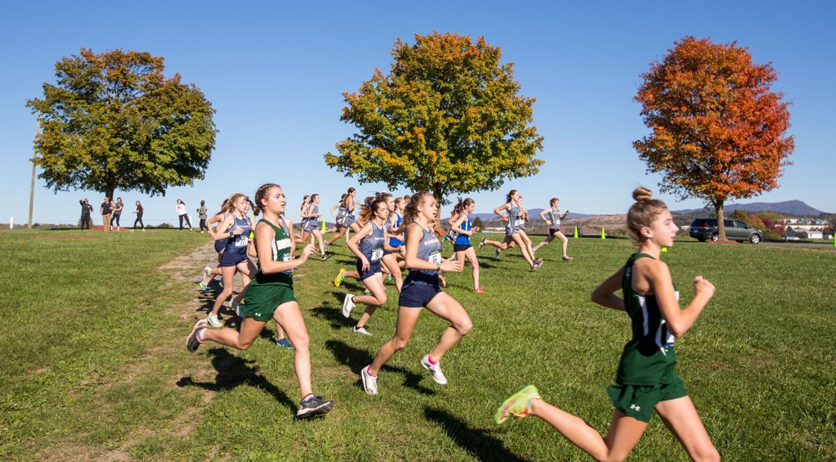 Valley District Cross Country Championships