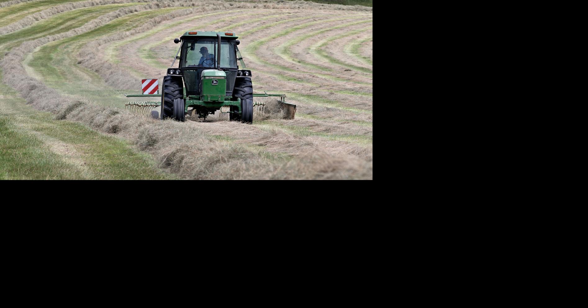 Shenandoah County supervisors seek disaster declaration for farms hit by freeze, dry spring
