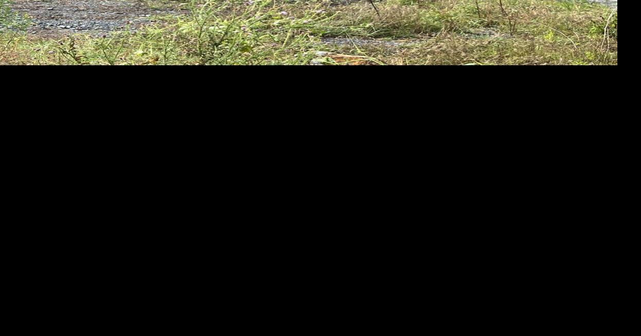 Harrisonburg Accepting Comments On Water Pollution Plan News