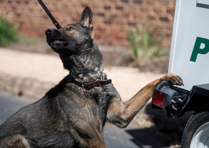 K9 Officer Makes Big Drug Bust, Earns State Award News