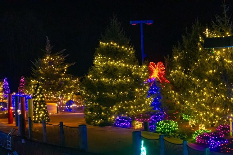 Massanutten Celebrates Start Of The Season At Light Up The Park e