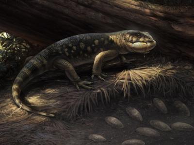lizardz_featured