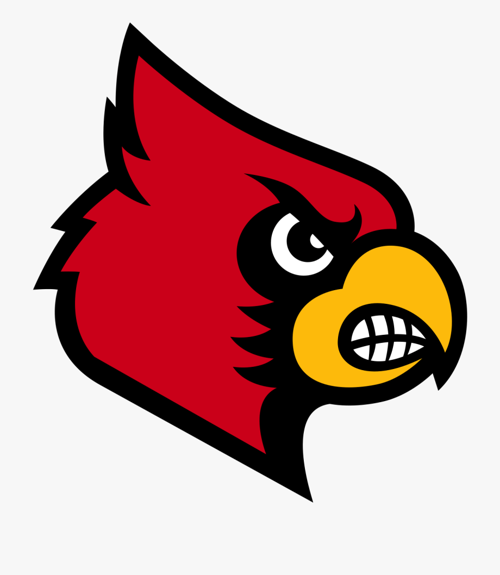D-T volleyball team defeats Loup City/Arcadia, lose to Centura