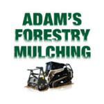 Adam's Forestry Mulching | Vegetation Control, Land Clearing, Trail Construction | Dothan, AL
