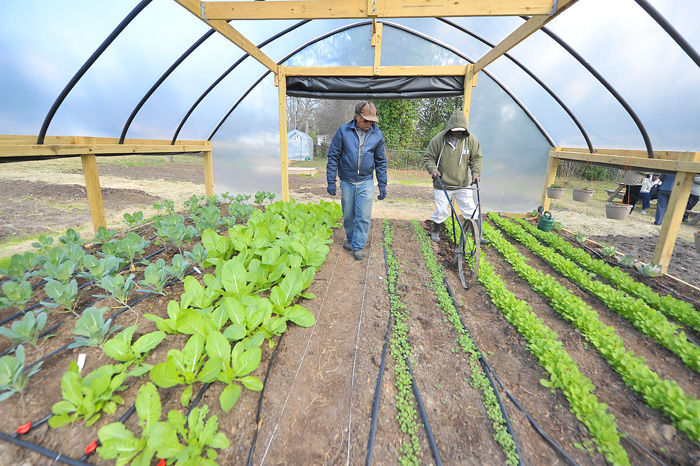 Tunnel houses can help extend growing season | Local | dothaneagle.com