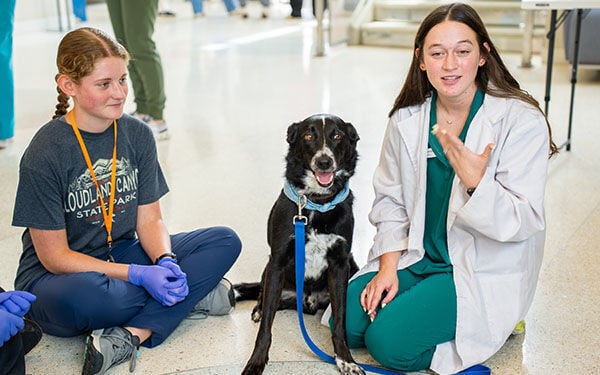 Living the dream: Vet Camp alumna shares passion with 2026 campers