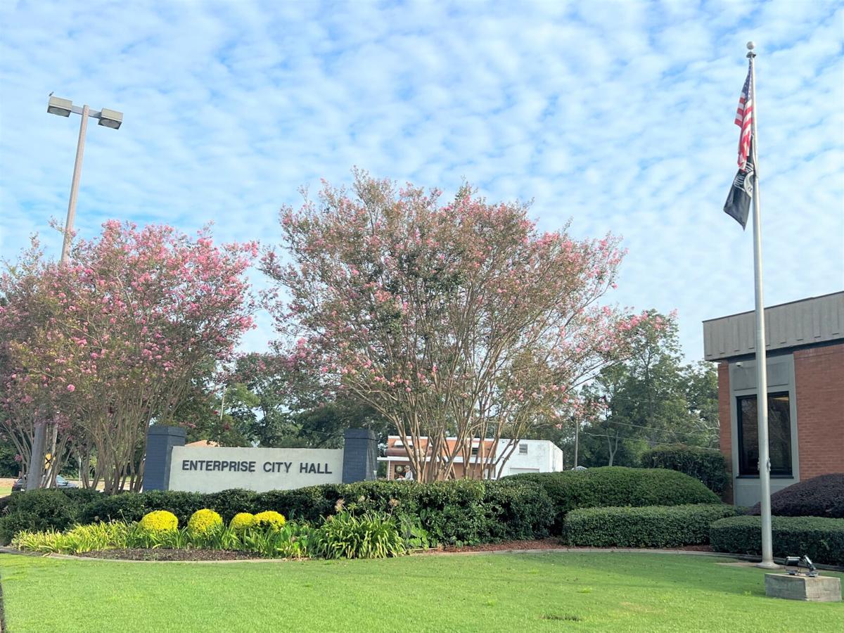 enterprisecityhallrenovationupdates