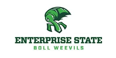 ESCC Boll Weevils