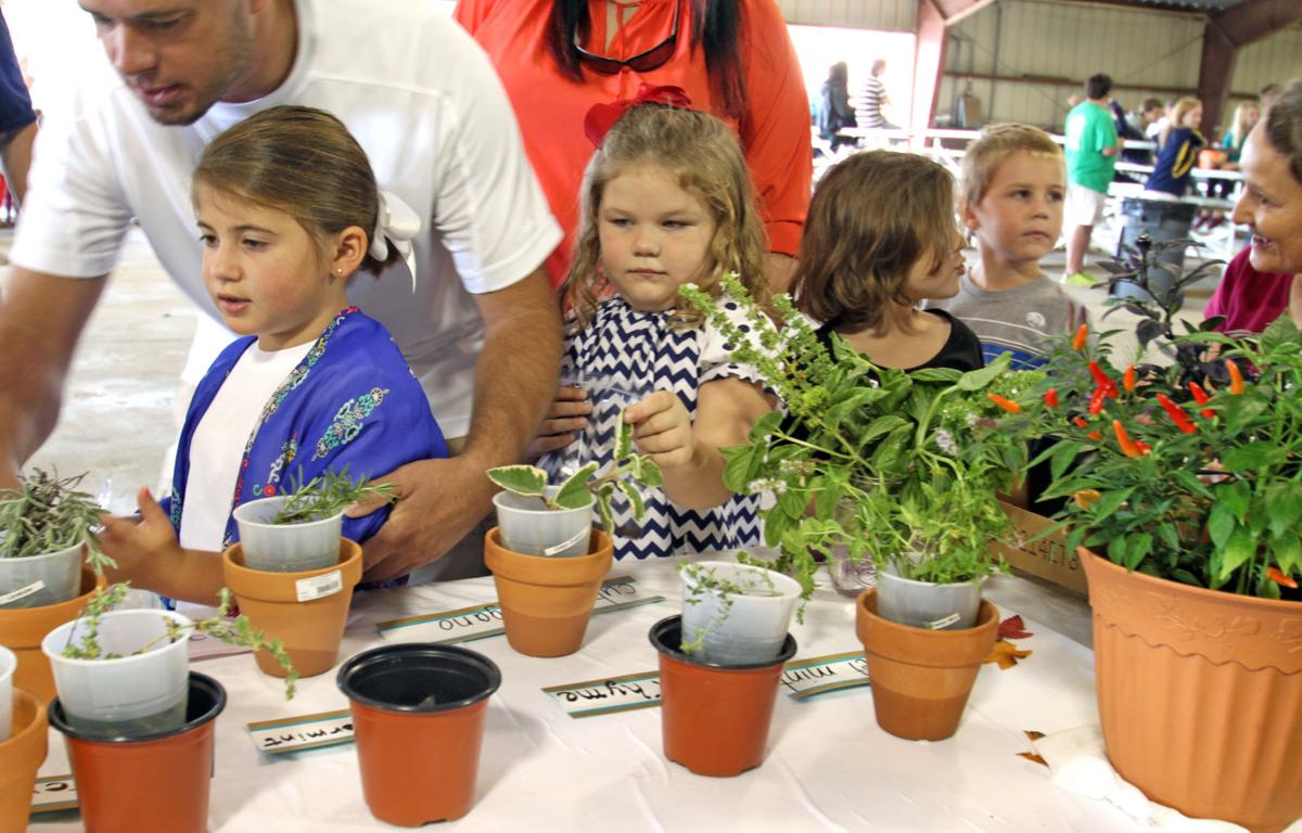 Farm-City Petting Zoo a hit at farm center | News | dothaneagle.com