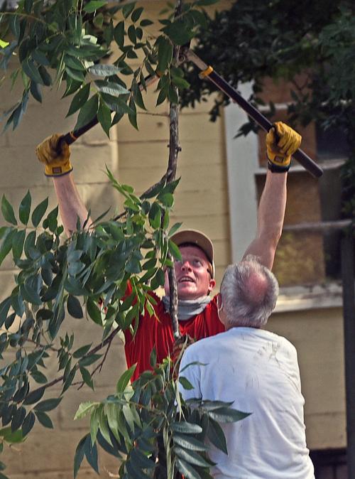 Love Your Neighborhood work project (copy)