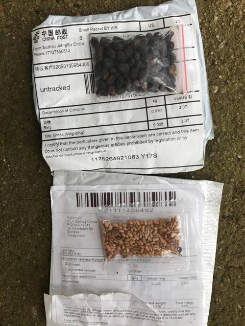 Mystery seeds identified as flower, vegetable and herbs, according to state tests