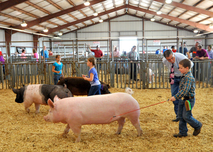 National Peanut Festival Livestock Shows News