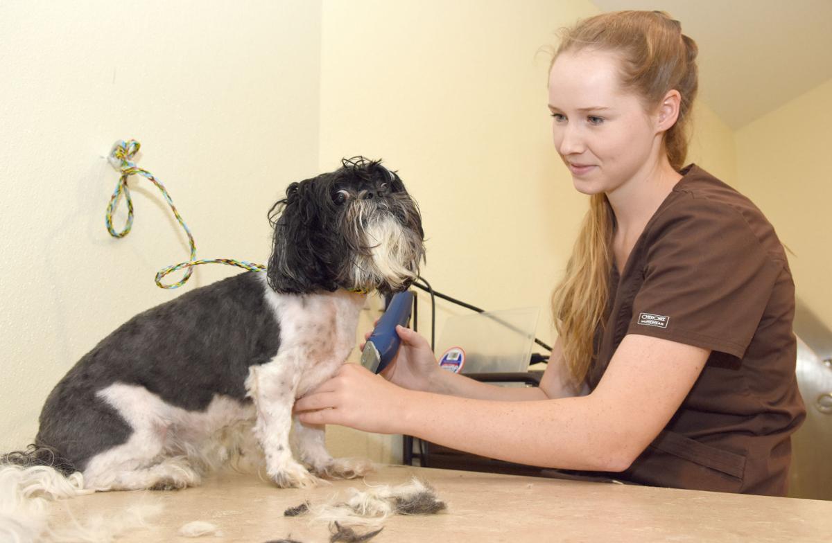 Great Oak Pet Resort now open Local