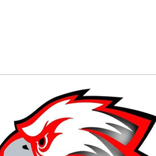 Carroll Learns Second Basketball Player Ineligible Forfeits Two Area Games High School Sports Dothaneagle Com