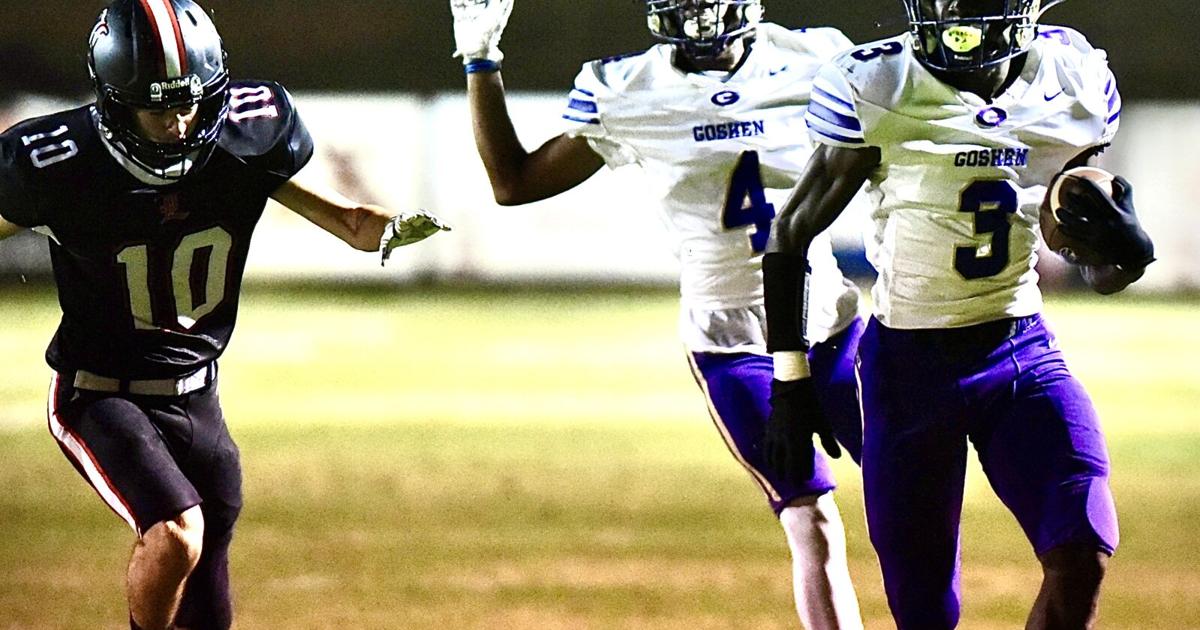 DothanEagle.com - Goshen weathers storm, gets past G.W. Long in Class 2A playoffs image