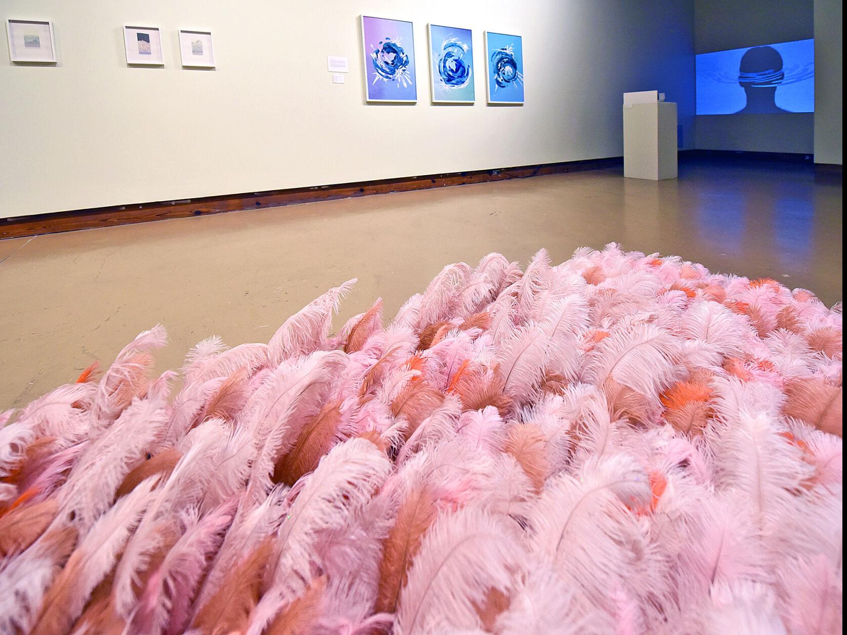Pandemic Delayed Exhibits On Display At Wiregrass Museum Of Art Local News Dothaneagle Com