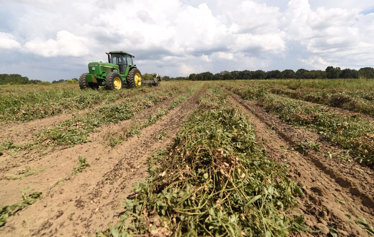 Agriculture careers can be lucrative and aren't just ...