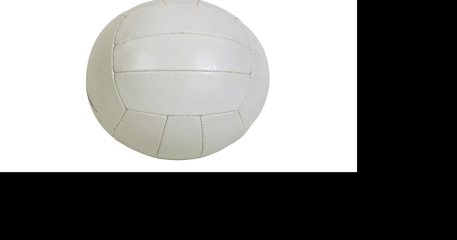 DothanEagle.com - PREP VOLLEYBALL: Enterprise volleyball wins Florida tournament image