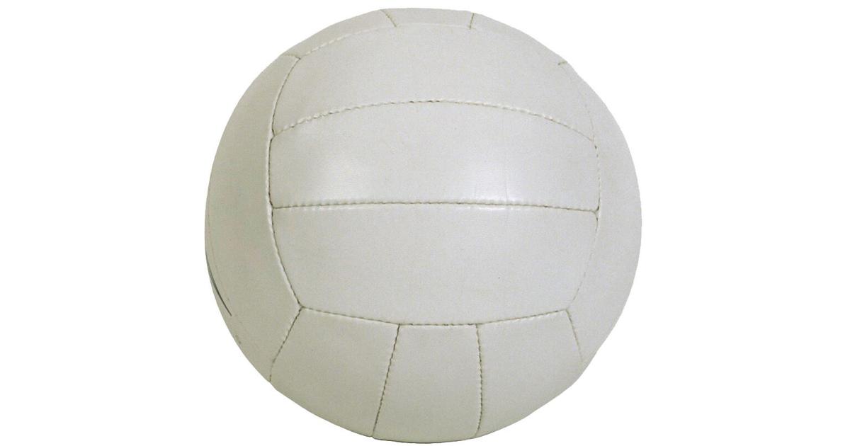 DothanEagle.com - PREP VOLLEYBALL: Enterprise volleyball wins Florida tournament image