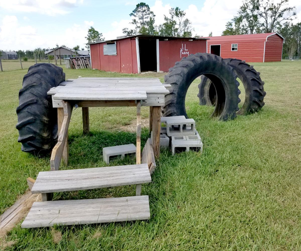 Hobby farm thrives on Alliance Local