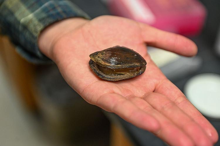 TROY grad student receives grant for freshwater mussel research