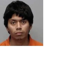 Dothan man charged with multiple counts of child pornography