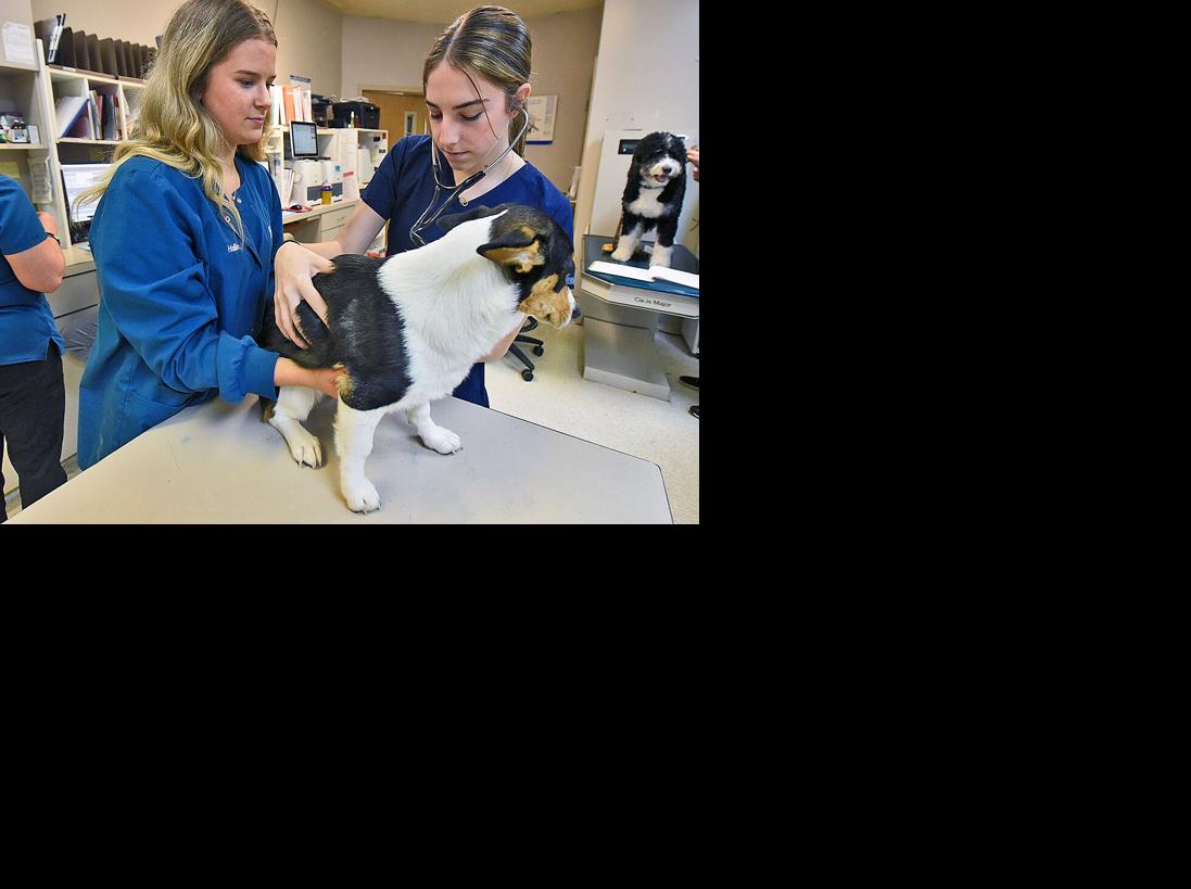 Dothan Tech hosts Job Shadow Day
