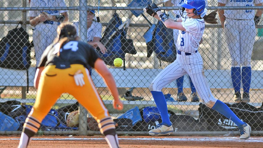 DothanEagle.com - Houston Academy Lady Raiders win area softball title image