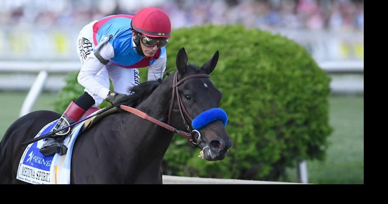 Derby winner Medina Spirit dies after workout->すべての結果