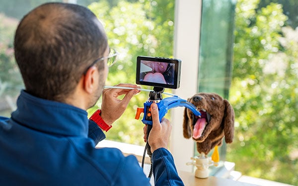 Printed for practice: Auburn team develops 3D-printed tool to enhance anesthesia training