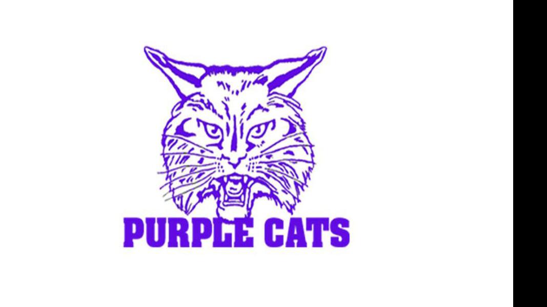 DothanEagle.com - Ariton names new head basketball coaches image