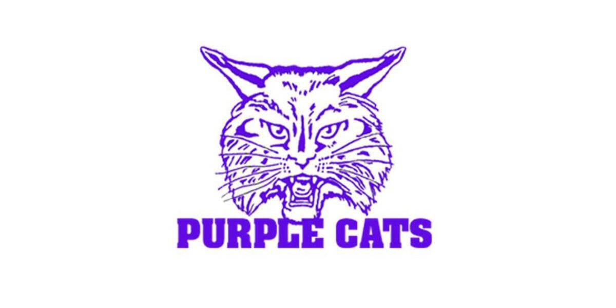 purple cat logo with name