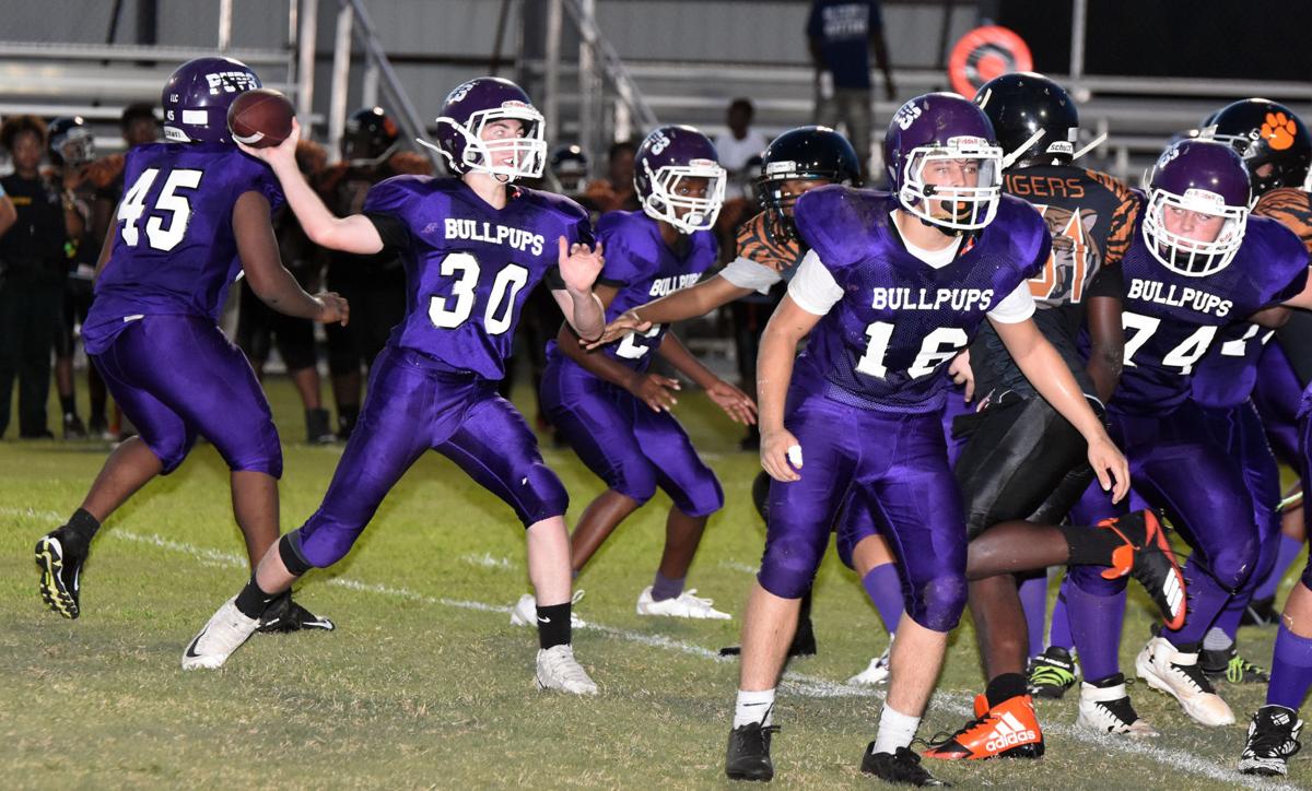 Bullpups Fall Late To Shanks Sports Dothaneagle Com