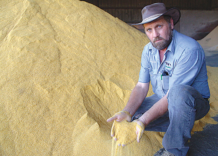 Fuel, feed prices spike for dairy, livestock producers