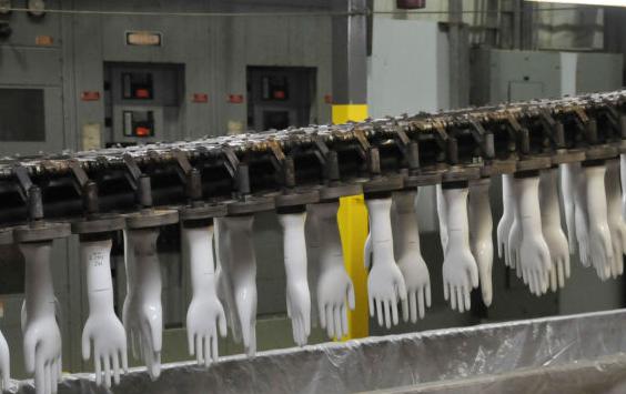 Latex glove plant